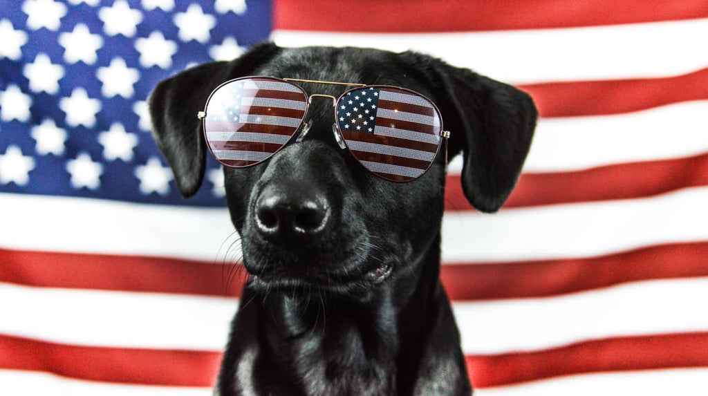 SPECIAL 4TH OF JULY PET (DOG/CAT) CALMING BLEND